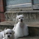 대흥이발관 이미지