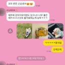 도그모루 애견유치원 네이버블로그