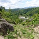 명산축산 Daum카페