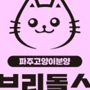 브리돌스 이미지