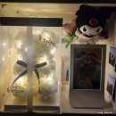 씅&amp;쫑 in 대전 (241206-241208)