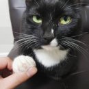 휴게 PC방 이미지