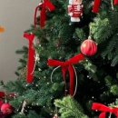 디어피피 펫푸드 앤 카페 이미지