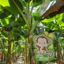 회천농장 이미지