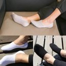 1287 이미지