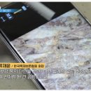 캐슬9 아파트 이미지