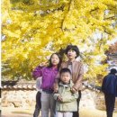 맑은아침 이미지