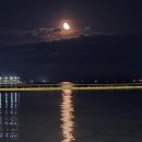 포항 영일대 샌드페스티벌 후기, 축제가 끝나도 가야 하는 이유 (야간 관람 꿀팁, 주차, 전시 기간)