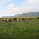 아름다운민박 이미지