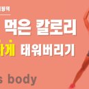 바디피티 이미지