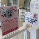 GS25율하대로점 | 김해 율하 강아지 수제간식 멍티시에, 24시 무인 매장에서 반려견 와플 케이크 픽업 후기!🎂