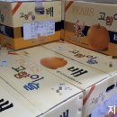 (주)지오팜