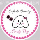러블리독 애견카페 | 인천 계양구 작전동 반려동물호텔 러블리독 애견호텔&amp;애견카페 시설 꼼꼼 분석