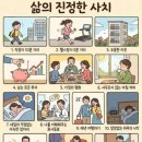사치 이미지