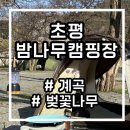 라임즈 - 성남시 분당구 정자일로 140 | 초평 밤나무 캠핑장 계곡 앞 캠핑 벚꽃 캠핑