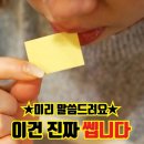 전다이브이