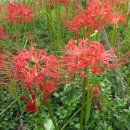 정윤농장 이미지