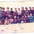 미경 이미지