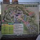 다솔촌 | 천안 독립기념관 단풍나무숲길야간개장 등산후기