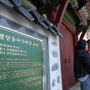 아기씨당 주간조선