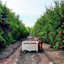 내천농장 이미지