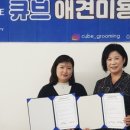 큐브애견미용학원 이미지
