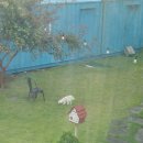 아롬타롬 이미지