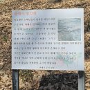 어물동 마애여래좌상 | [일상] 어물동 마애여래좌상(feat.울산에서 가볼만한곳 발견)