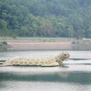 호명펜션 이미지