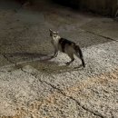 왕산게임장 네이버블로그