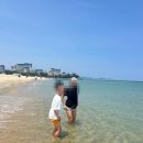 추암 일번지 펜션 | 삼척 추암해수욕장 (개장) 물놀이, 조개잡이 | 촛대바위 일출