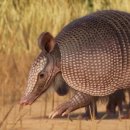 (주)플래닛 이미지