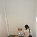 데이글로우