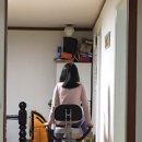 프라임바이크 | 실내 자전거 숀리 엑스바이크 프라임 개봉기와 사용후기