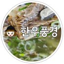 한우풍경 | 오창 점심특선 한우갈비탕 맛집 한우풍경 식사 후기