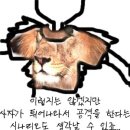 [의견]악마의 열매를 두 개 먹는다면 사물이 먹는다?! 이미지