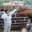대상축산