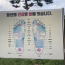 대가미공원 앞 이미지
