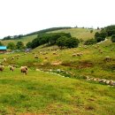 부화목장 이미지