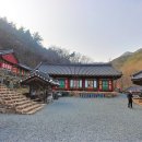 도림사계곡 이미지