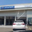 현대자동차신평점 이미지