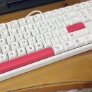 한성익스프레스 이미지