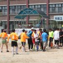 내기초등학교 티스토리