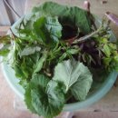 곰치농장 이미지