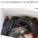 섬마을낚시