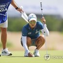 (주)메이저라인 이미지