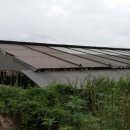 한우축사 이미지