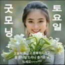 굴러굴러당구클럽 Daum카페