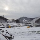 월은 경로당 Daum카페