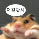 나누리청과 | 9월 일상